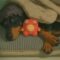 Jan Paul Barnard Avatar